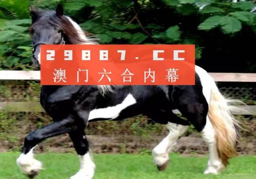 澳门与香港答家婆一肖一码一中一特,词语释义解释与落实展望